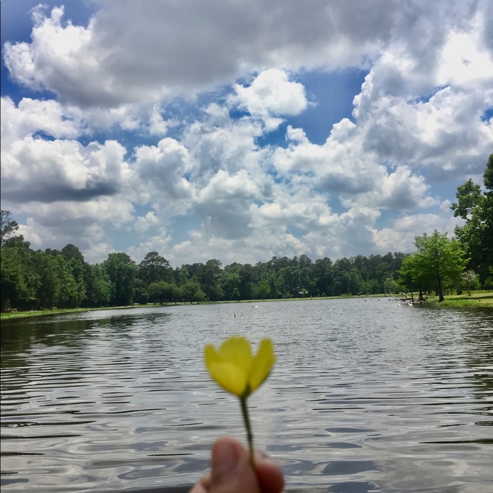 Meet your Posher, Ariel